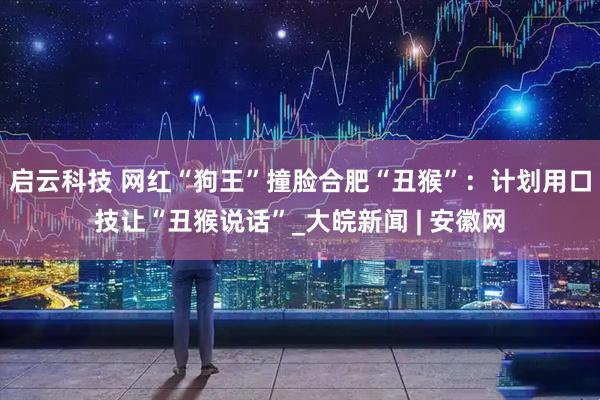启云科技 网红“狗王”撞脸合肥“丑猴”：计划用口技让“丑猴说话”_大皖新闻 | 安徽网