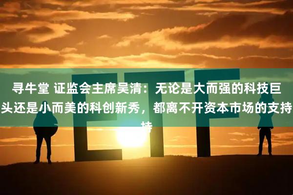 寻牛堂 证监会主席吴清：无论是大而强的科技巨头还是小而美的科创新秀，都离不开资本市场的支持