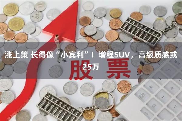 涨上策 长得像“小宾利”！增程SUV，高级质感或25万