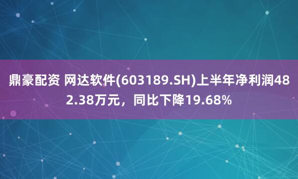 鼎豪配资 网达软件(603189.SH)上半年净利润482.38万元，同比下降19.68%