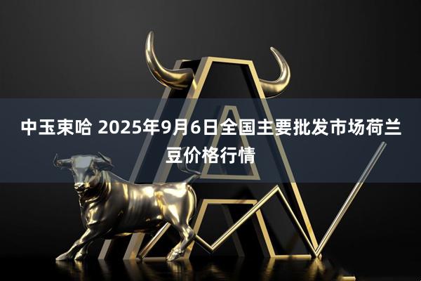 中玉束哈 2025年9月6日全国主要批发市场荷兰豆价格行情