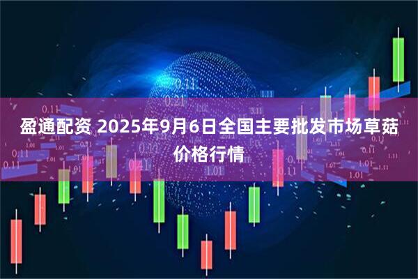 盈通配资 2025年9月6日全国主要批发市场草菇价格行情