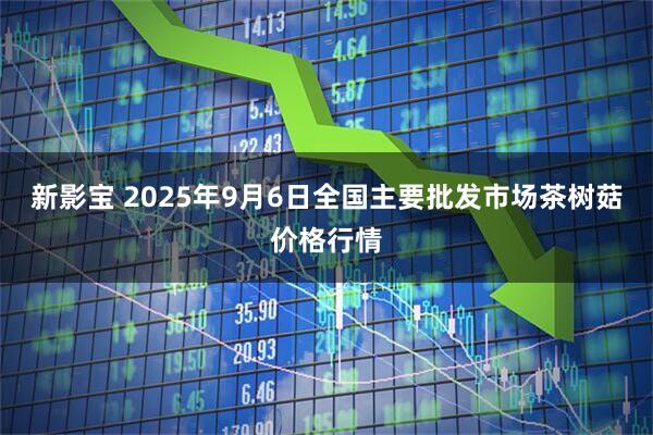 新影宝 2025年9月6日全国主要批发市场茶树菇价格行情