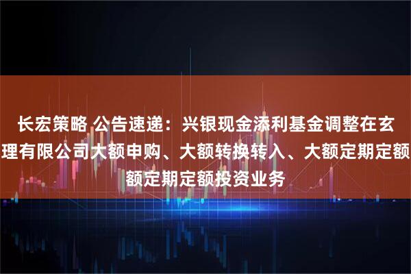 长宏策略 公告速递：兴银现金添利基金调整在玄元保险代理有限公司大额申购、大额转换转入、大额定期定额投资业务
