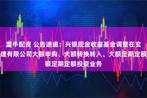 盟牛配资 公告速递：兴银现金收益基金调整在玄元保险代理有限公司大额申购、大额转换转入、大额定期定额投资业务
