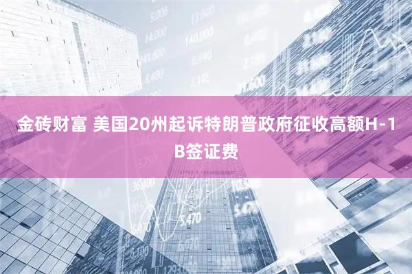 金砖财富 美国20州起诉特朗普政府征收高额H-1B签证费