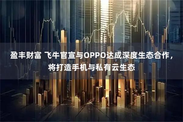 盈丰财富 飞牛官宣与OPPO达成深度生态合作，将打造手机与私有云生态